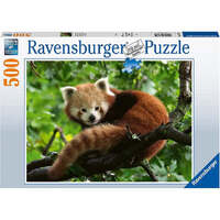 Ravensburger Red Panda Photo 500pc Puzzle RB17381