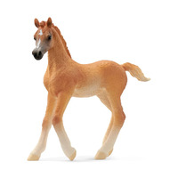 Schliech Horse Arabian Foal Toy Figure SC13984