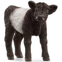 Schleich Galloway Calf Toy Figure SC13969