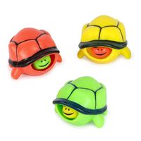 Pophead Turtles Assorted One Supplied NV187