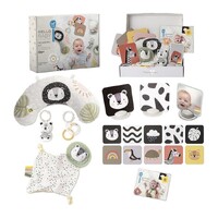 TAF Toys Newborn Development Play Kit 12915