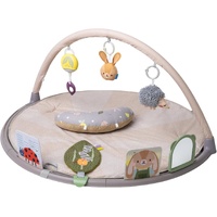 TAF Toys Tummy Time Activity Gym 13395