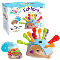 Magic Sensory Fine Motor Skills Echidna Sorting Toy BMS016665