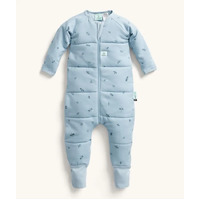 ergoPouch Sleep Onesie 3.5 TOG - Dragonflies