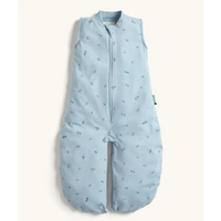 ergoPouch Sleep Suit Bag 0.2 Tog Dragonflies