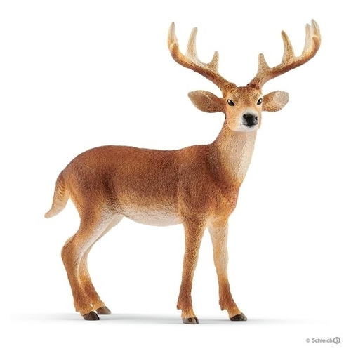 Schleich White-tailed Buck SC14818