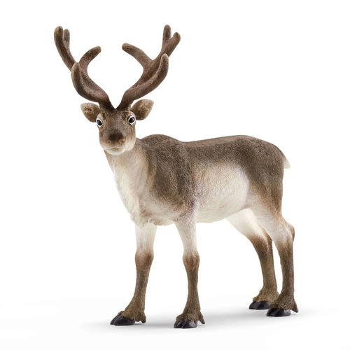 Schleich Reindeer Toy Figure SC14837