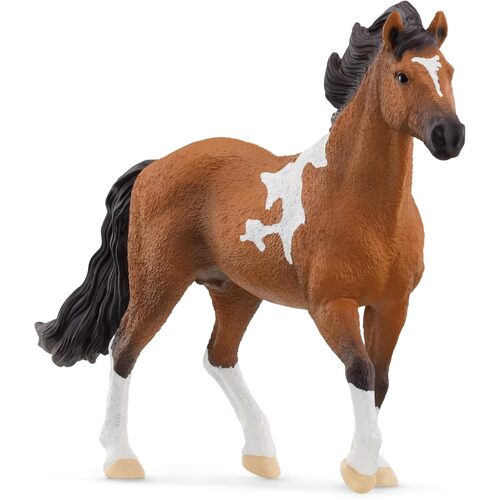 Schleich Horse Mangalarga Marchador Stallion Toy Figure SC13978