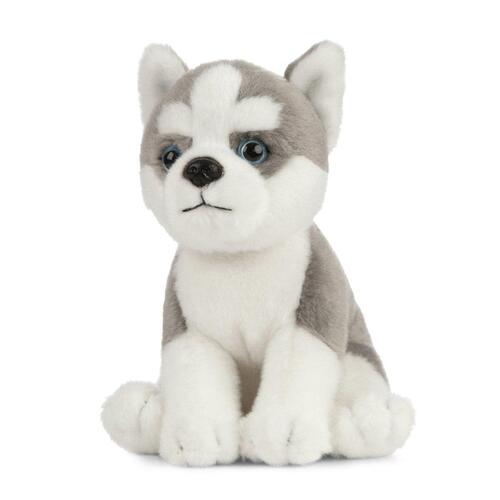 Living Nature Husky Puppy 16cm AN445