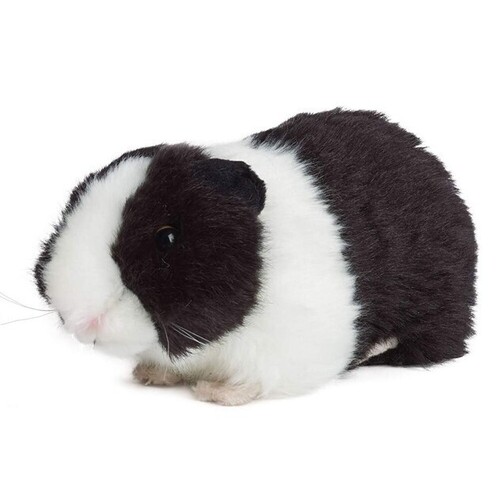 Living Nature Guinea Pig with Sound 20cm