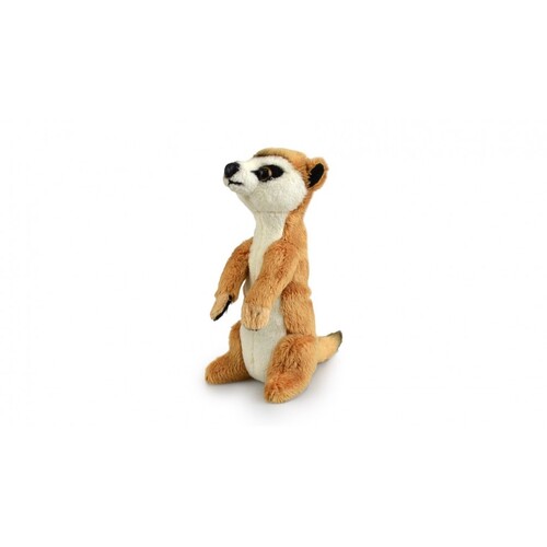 Korimco 15cm Lil Friends Meerkat Plush Toy 2832